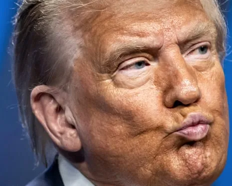 Trump vs Reality Review: No Other Network Would Attempt TV So Audacious (while also) Mind-Numbing