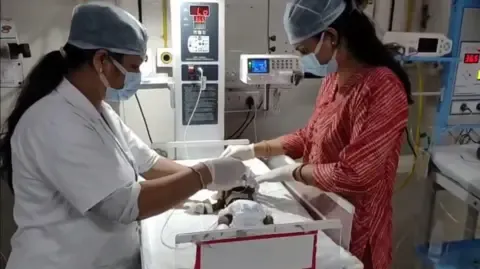 Infant Buried Living in the Country Fights for Survival