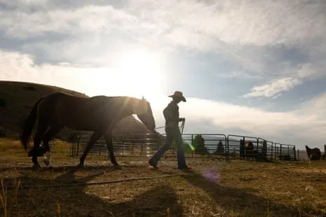 Discover the US Female Ranchers Reshaping Modern Ranching