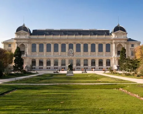 Priceless Gold Samples Snatched in Daring Heist at France's Natural History Museum