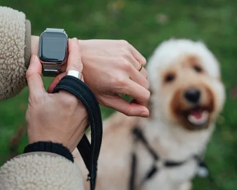 The Reality Concerning Fitness Trackers? Living Feels Fuller Without a Nagging Zealot on Your Arm